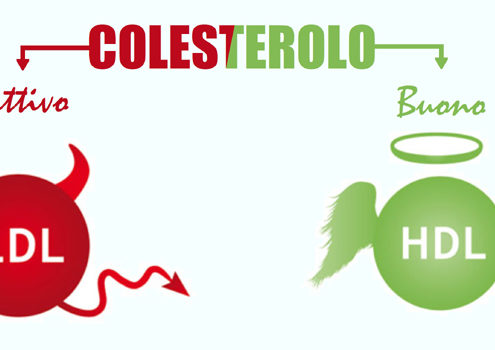 Oggi parliamo di colesterolo buono e colesterolo cattivo!