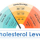 Colesterolo cattivo: livelli ottimali e rischio dell'eccesso