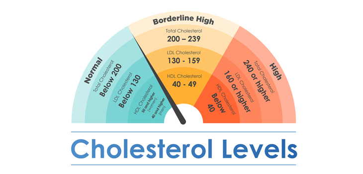 Colesterolo cattivo: livelli ottimali e rischio dell'eccesso