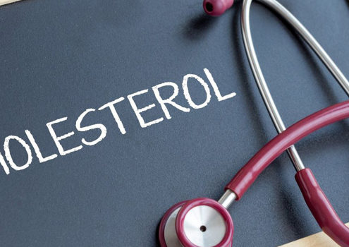 Che cos’è l’omeostasi del colesterolo?